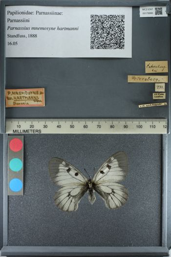 Media type: image;   Entomology 179990